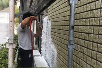 外壁カビ、苔除去作業（サイディング）